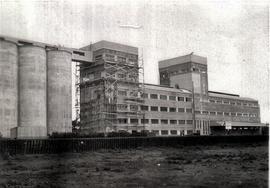 ITEM 0054 - 1936 - 25 de octubre -Construcción del edificio Molino Fénix.